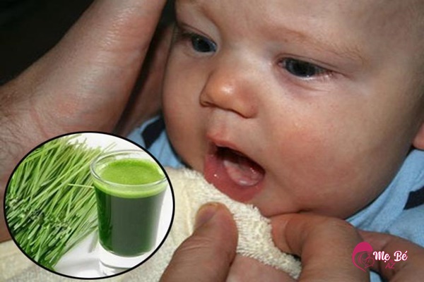 Lá hẹ giúp giảm đau khi mọc răng