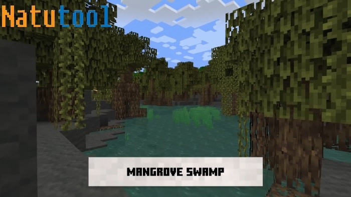 Cập nhật thêm rất nhiều cây trong đầm lầy ngập mặn