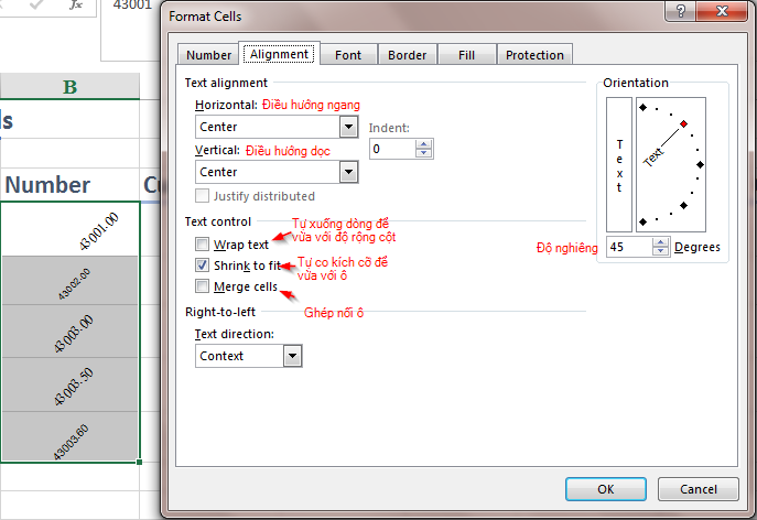 aligment format cell