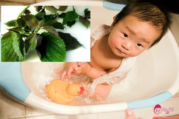 Mụn kê ở trẻ sơ sinh: Nguyên nhân, cách xử lý và những điều cần lưu ý Trẻ sơ sinh bị mụn kê có nên tắm lá?