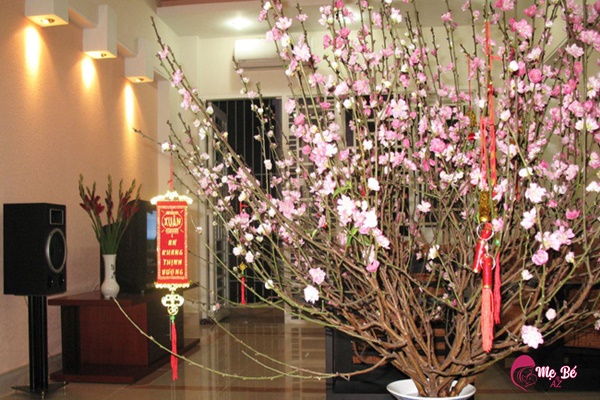 Trang trí nhà cửa bằng hoa tươi