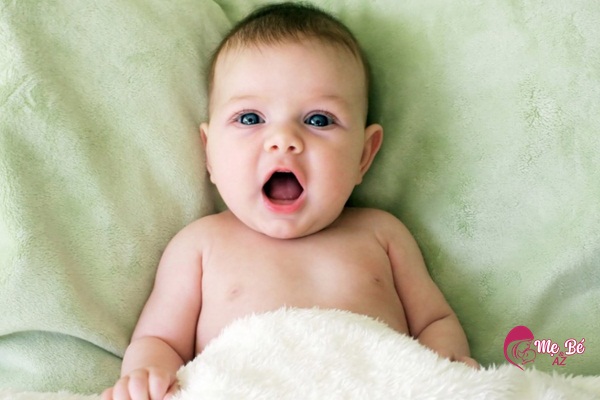 Chế Độ Dinh Dưỡng Trước Khi Mang Thai: Nên Ăn Gì Và Kiêng Gì? ăn gì trước khi mang thai