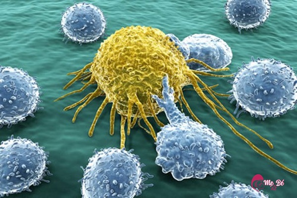 Những trường hợp không nên dùng vitamin tổng hợp