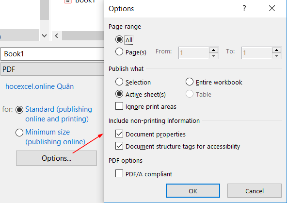 The Options window in Excel PDF saving settings showing page range and publishing scope