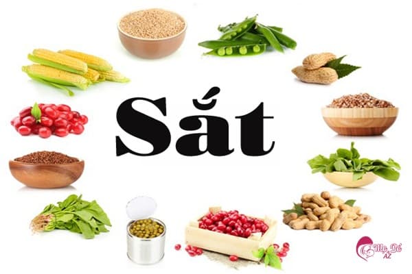 Thực Đơn Cho Bà Bầu Bị Thiếu Máu: Bổ Sung Dưỡng Chất Thiết Yếu Nguyên nhân thiếu máu khi mang thai