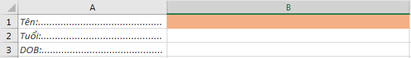 Cách Tô Màu Ô Không Khóa Trong Excel Bằng Conditional Formatting Kết quả sau khi áp dụng Conditional Formatting