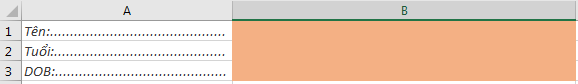 Cách Tô Màu Ô Không Khóa Trong Excel Bằng Conditional Formatting Kết quả sau khi cập nhật trạng thái khóa