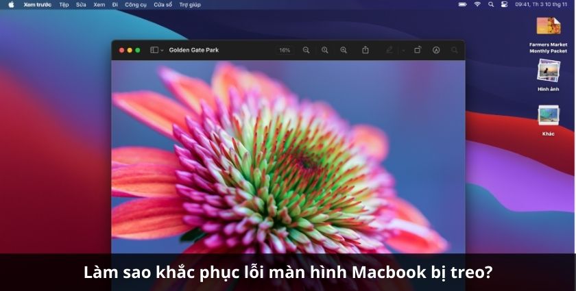 macOS bị treo hoàn toàn