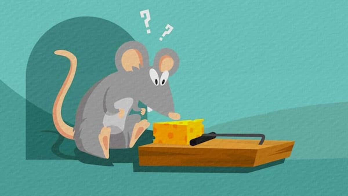 Định nghĩa từ "trap"