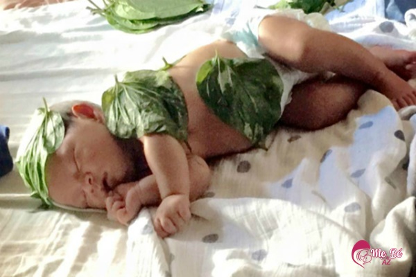 Dùng lá trầu không là một mẹo dân gian