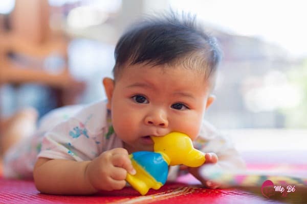 Trẻ Mấy Tháng Thì Mọc Răng? Chăm Sóc Trẻ Sốt Khi Mọc Răng Trẻ Mấy Tháng Thì Mọc Răng? Chăm Sóc Trẻ Sốt Khi Mọc Răng