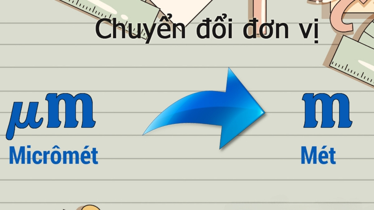 Hình ảnh minh họa về nghĩa của từ "Um" trong sinh học