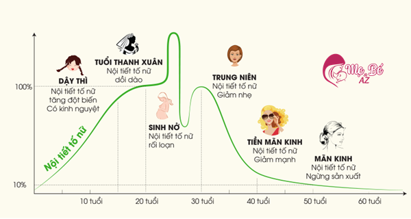 Estrogen giảm sau sinh