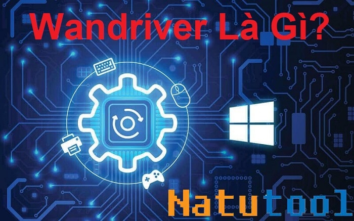 alt text: Giao diện phần mềm WanDriver hiển thị các tùy chọn cài đặt