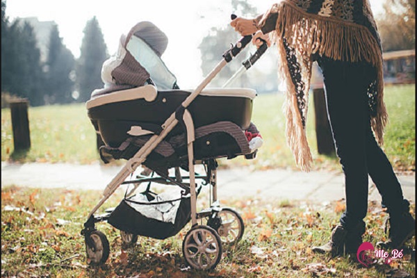 Xe đẩy trên đường gồ ghề