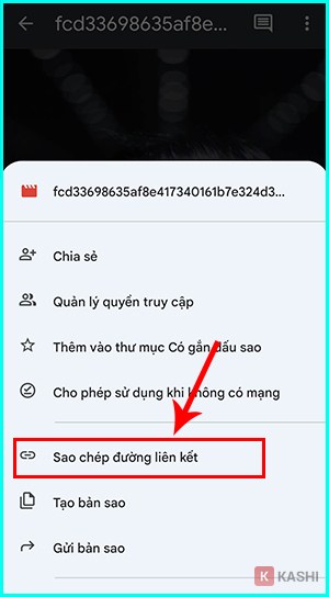 chọn vào Sao chép đường liên kết