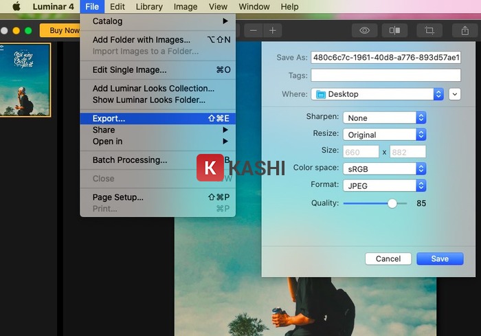 Hiệu ứng đa dạng