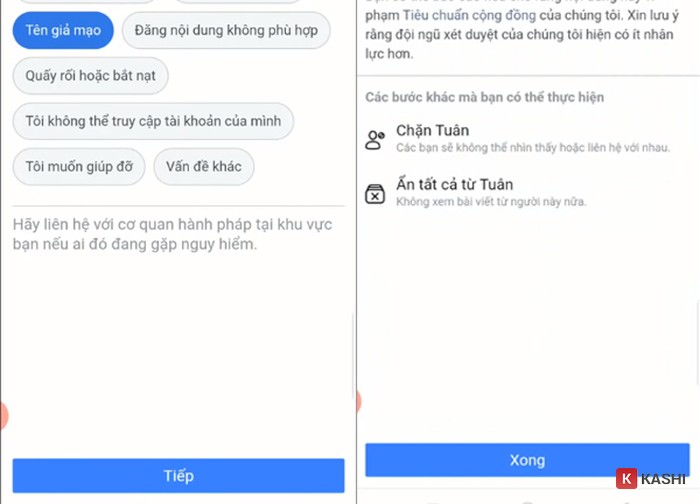 Báo cáo giả mạo