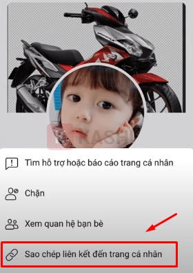 Sao chép liên kết