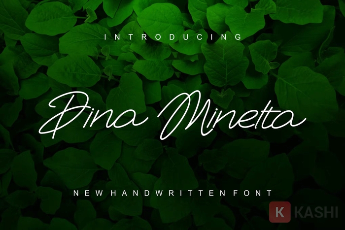 Font chữ viết tay nét mỏng 1