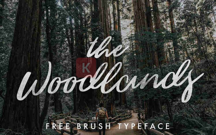 Font The Woodlands