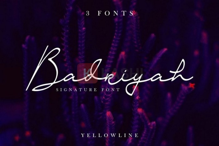 Font Badriyah