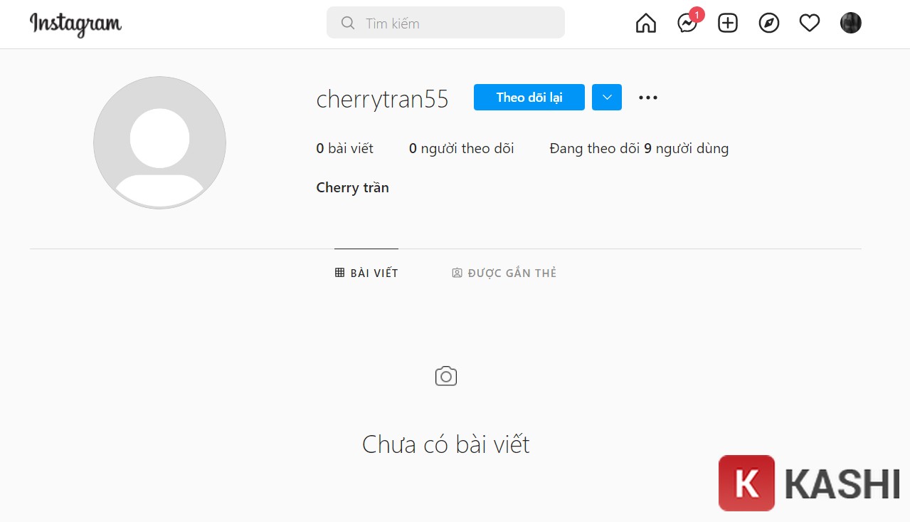 alt text: Kiểm tra tài khoản chưa theo dõi trên Instagram