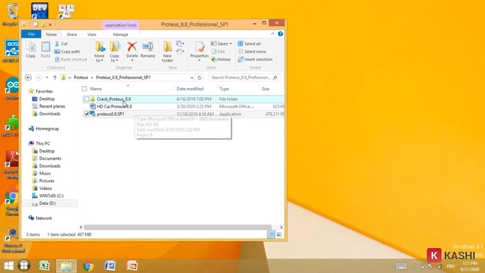 Crack Proteus