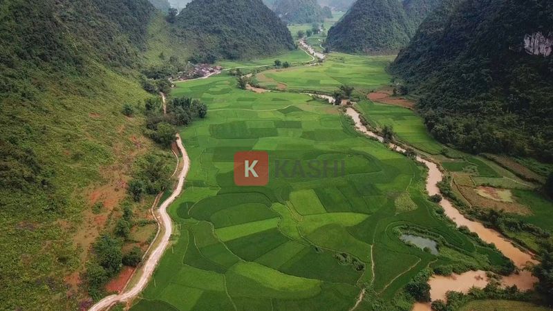 Slide bìa PowerPoint văn hóa ẩm thực