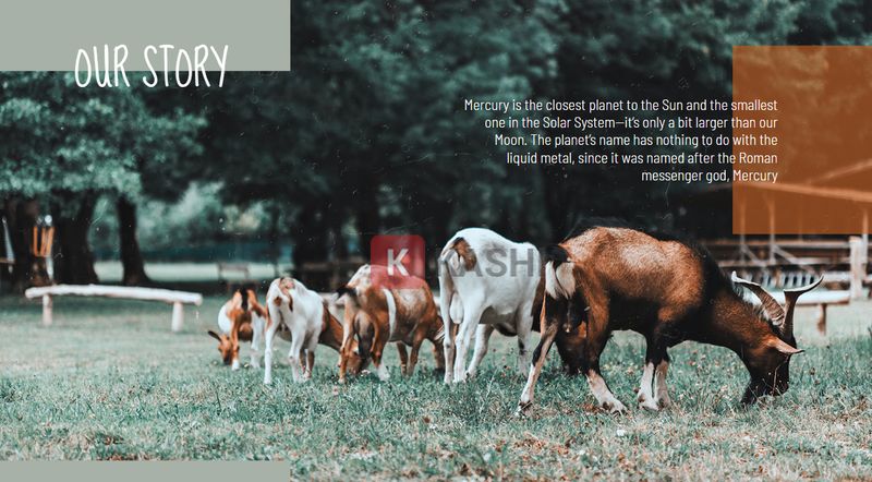 Mẫu PowerPoint giới thiệu động vật đồng quê