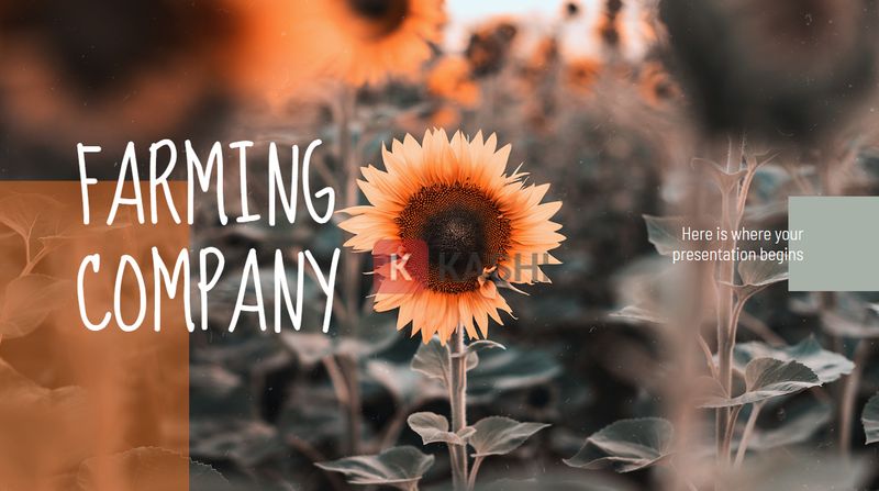 Slide bìa PowerPoint đồng quê