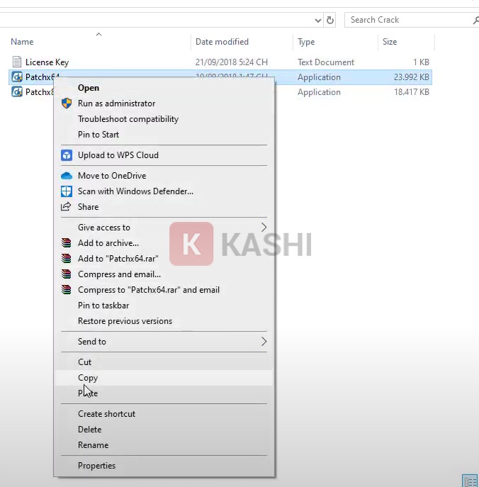 Copy file "Patch x64".