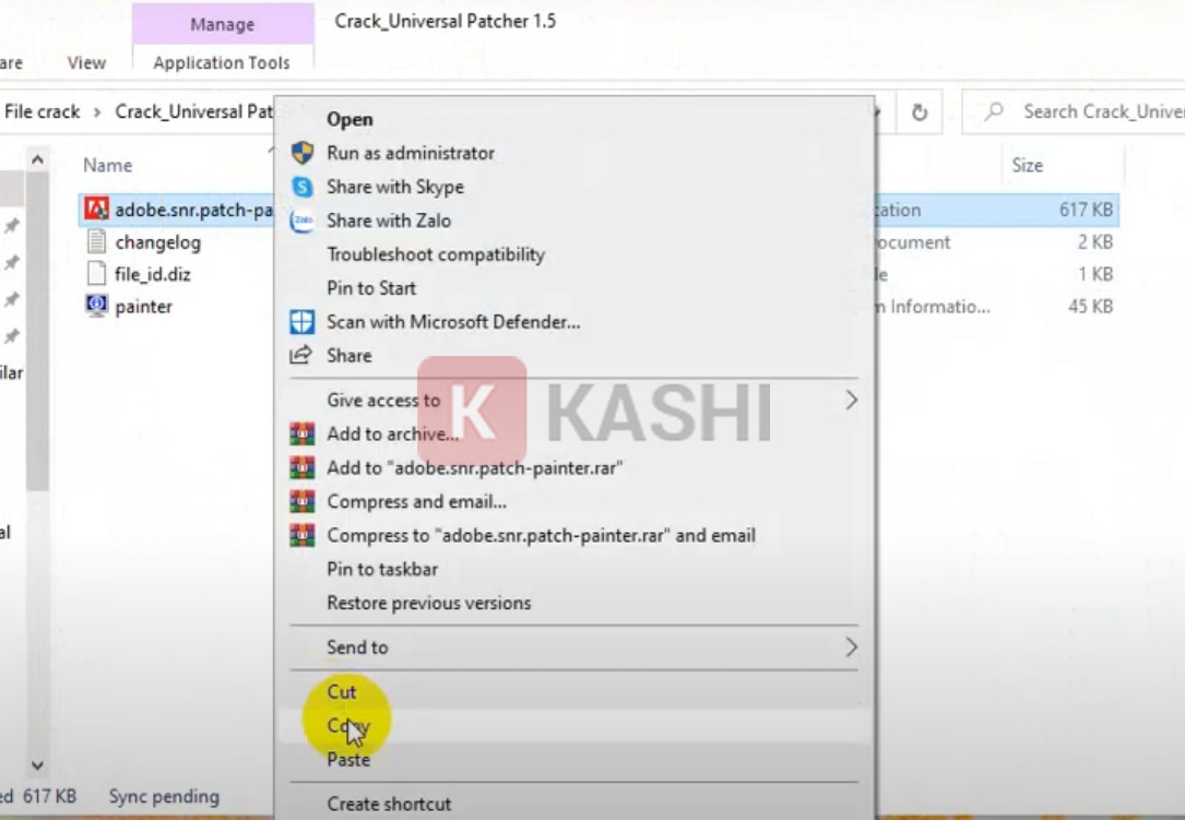 copy file "adobe.snr.patch-painter"
