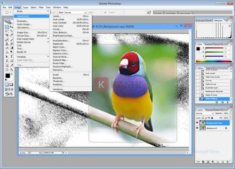 Sử dụng Photoshop CS2