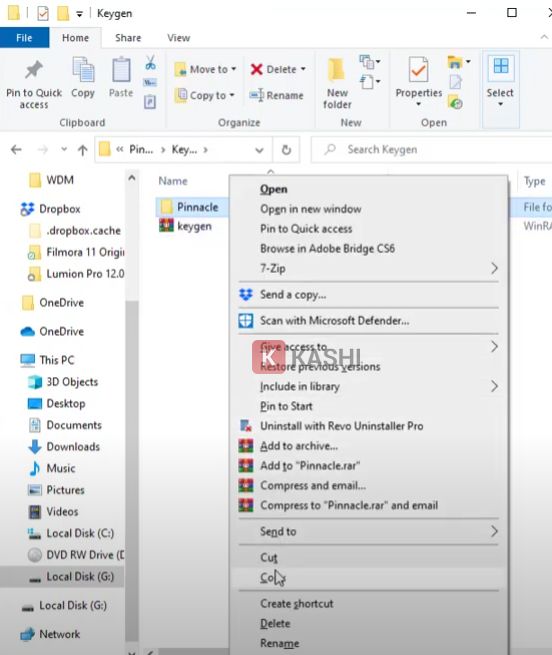 Copy folder "Pinnacle"