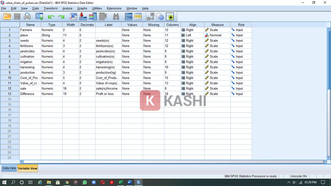 Giao diện phần mềm SPSS 25