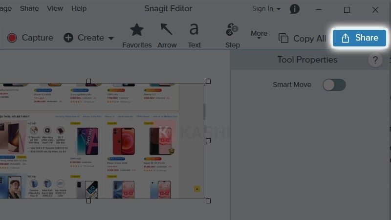 Chia sẻ nội dung với Snagit