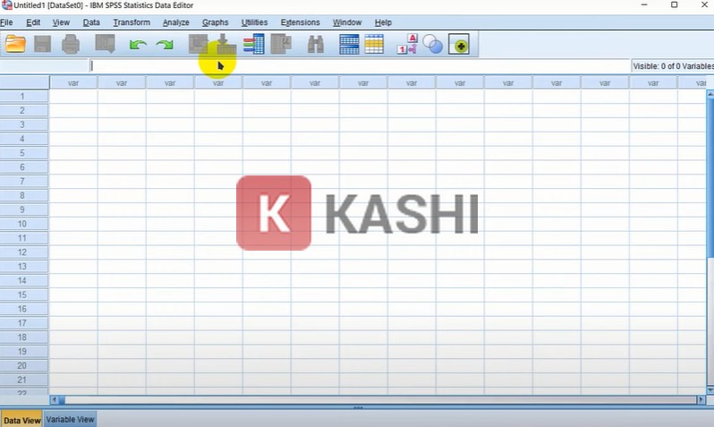 Giao diện SPSS 26 sau khi cài đặt