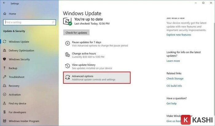 Tính năng Windows Update
