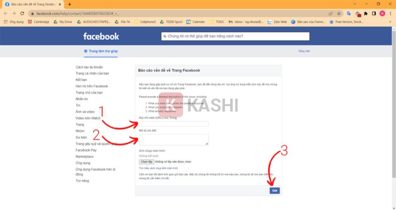 Báo cáo sự cố với Fanpage