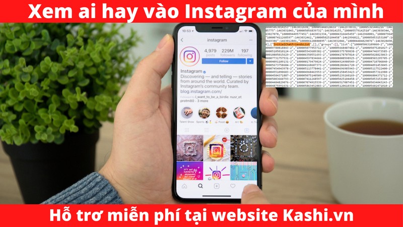 alt text: Hình ảnh minh họa cách xem ai hay vào Instagram