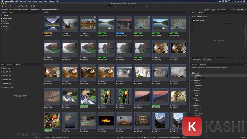 Các tính năng nổi bật của Adobe Bridge 2024