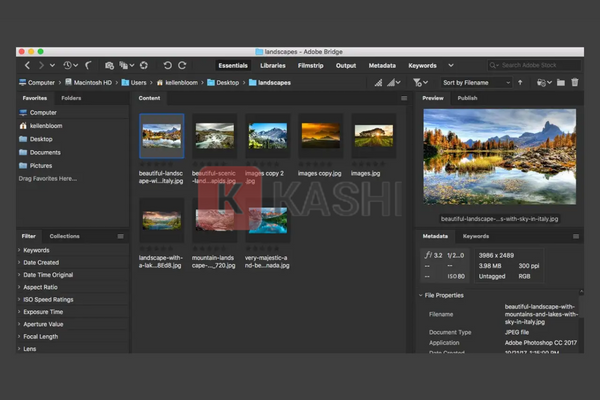 Tính năng của Adobe Bridge CC 2023