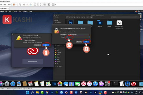 Cấp quyền cho Adobe Zii