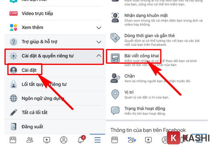 Chọn bài viết công khai trên Facebook iOS