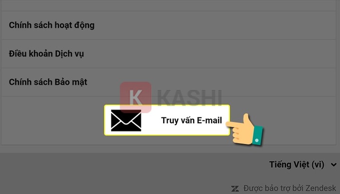 Chọn "Truy vấn E-mail"