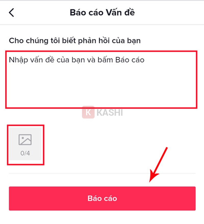 Gửi báo cáo đến TikTok