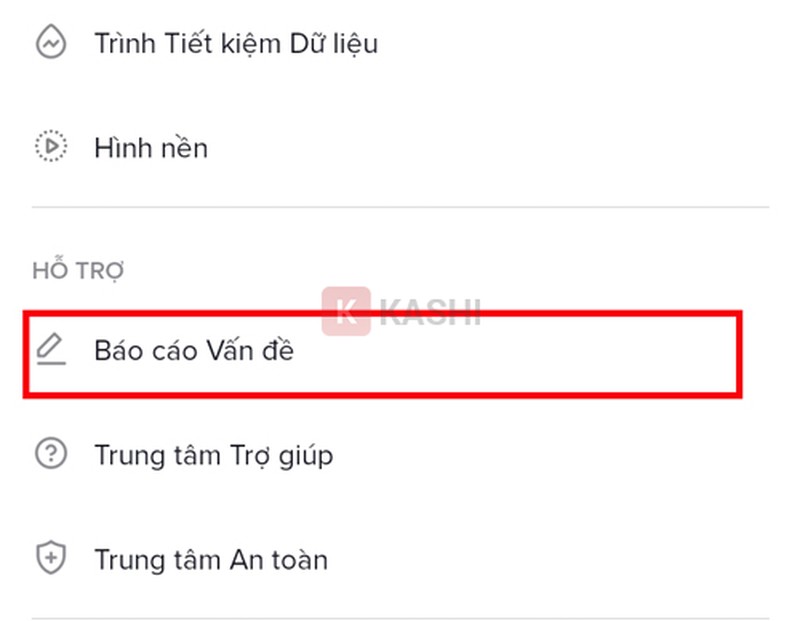 Chọn Báo cáo Vấn đề