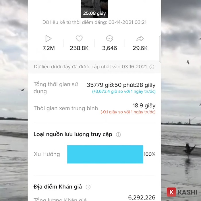 Video TikTok lên xu hướng là gì?