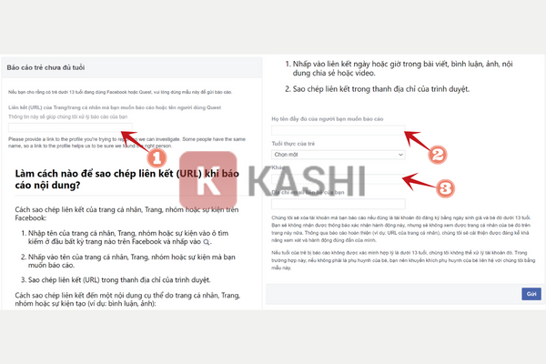 Điền thông tin báo cáo